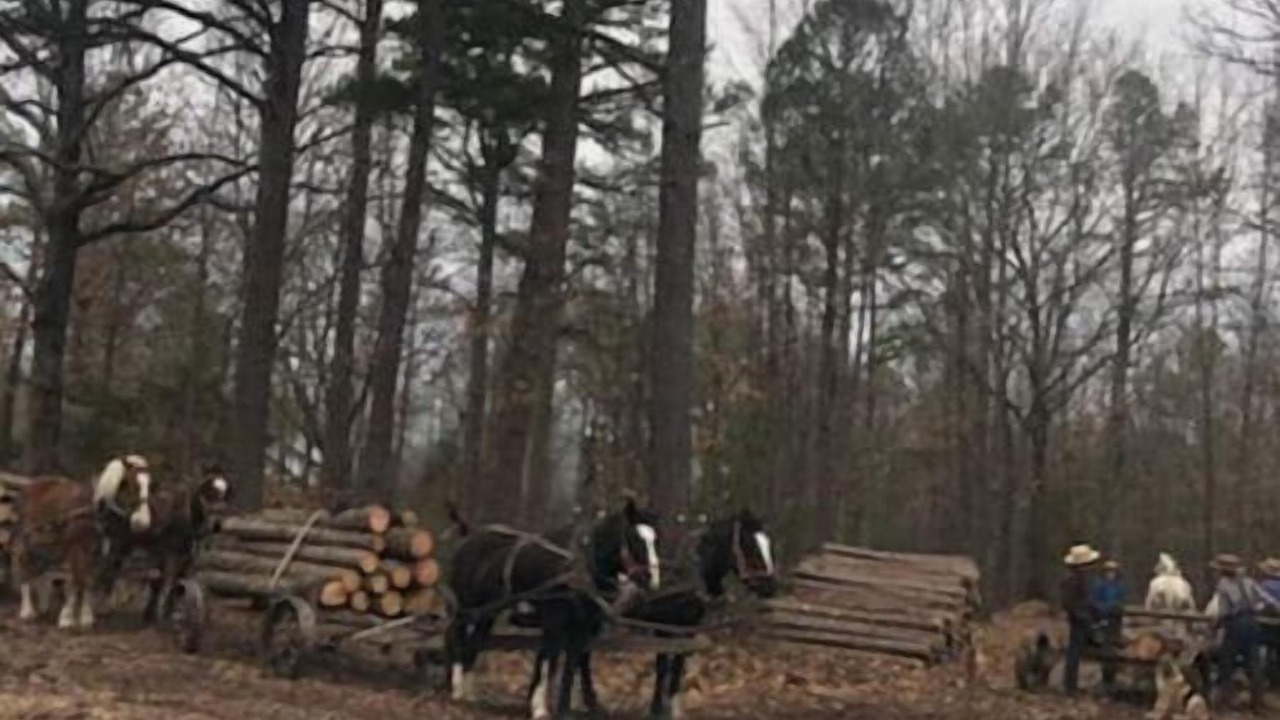 Photo of Outdoor in Hartshorn