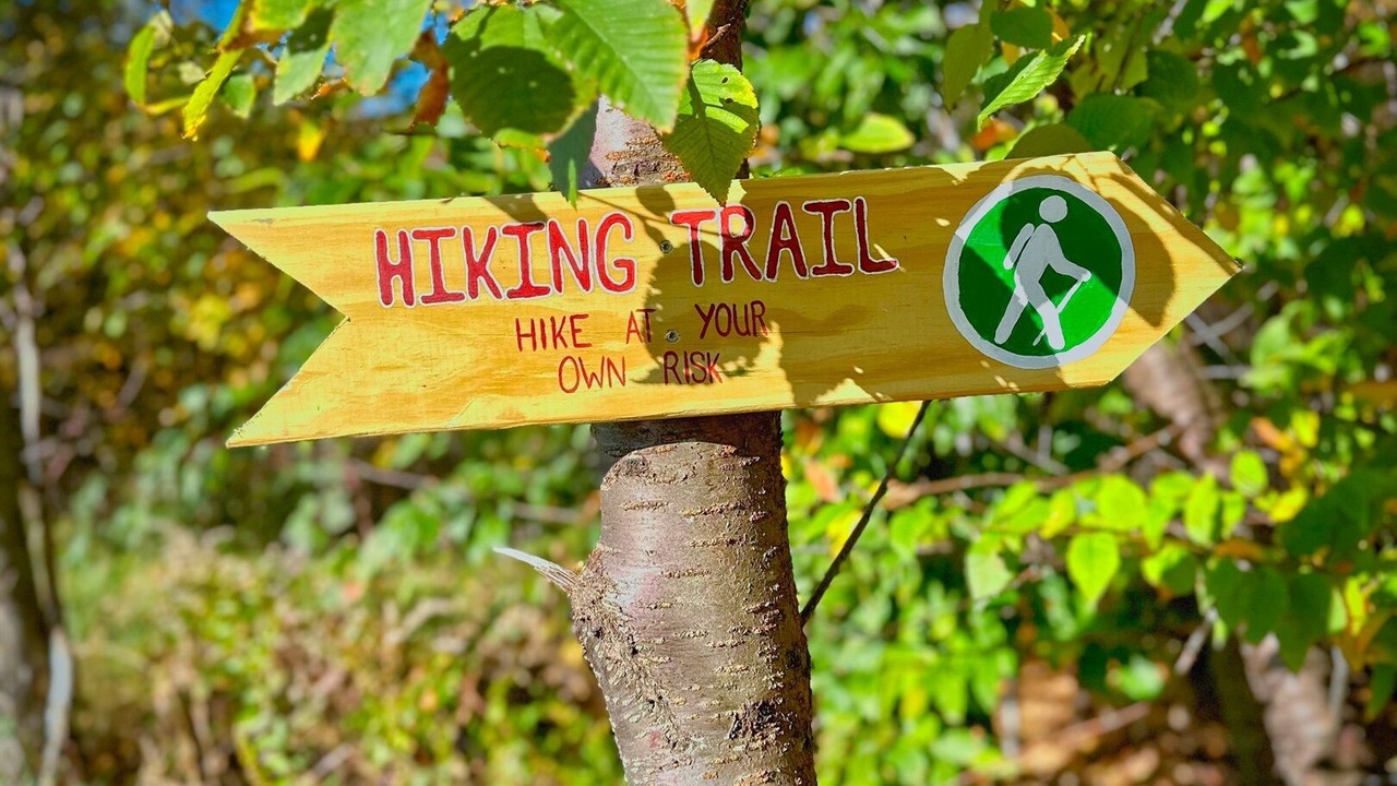 Photo of Others in Jewett