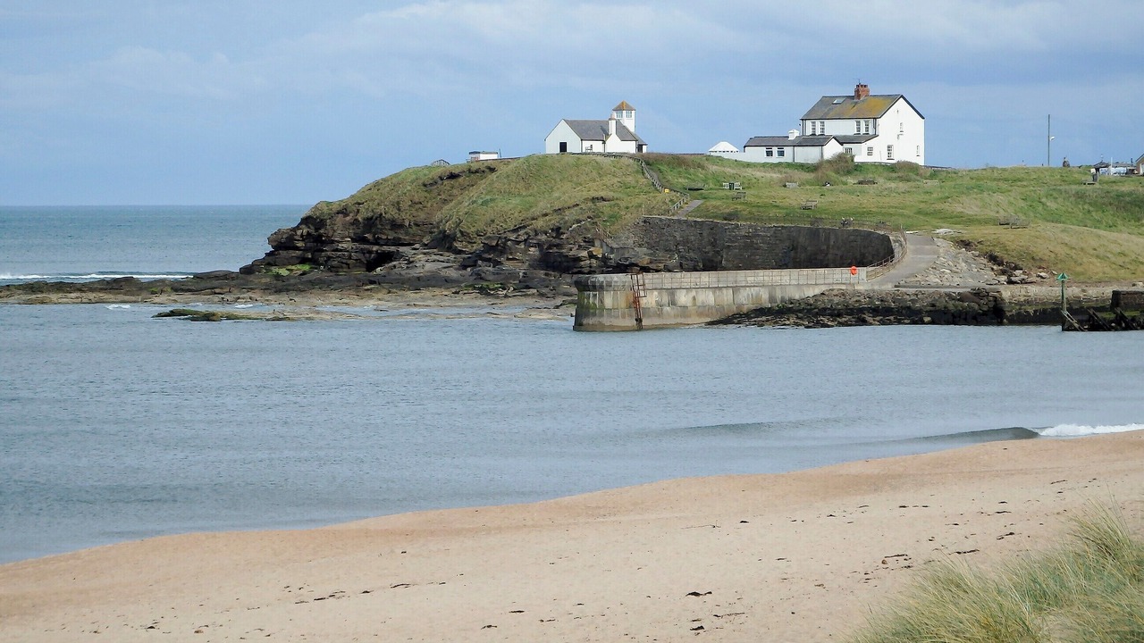 Photo of Others in Whitley Bay