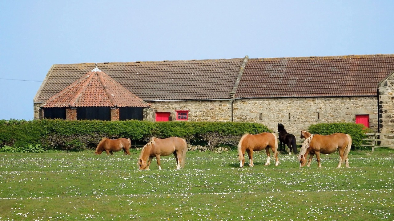 Photo of Others in Whitley Bay