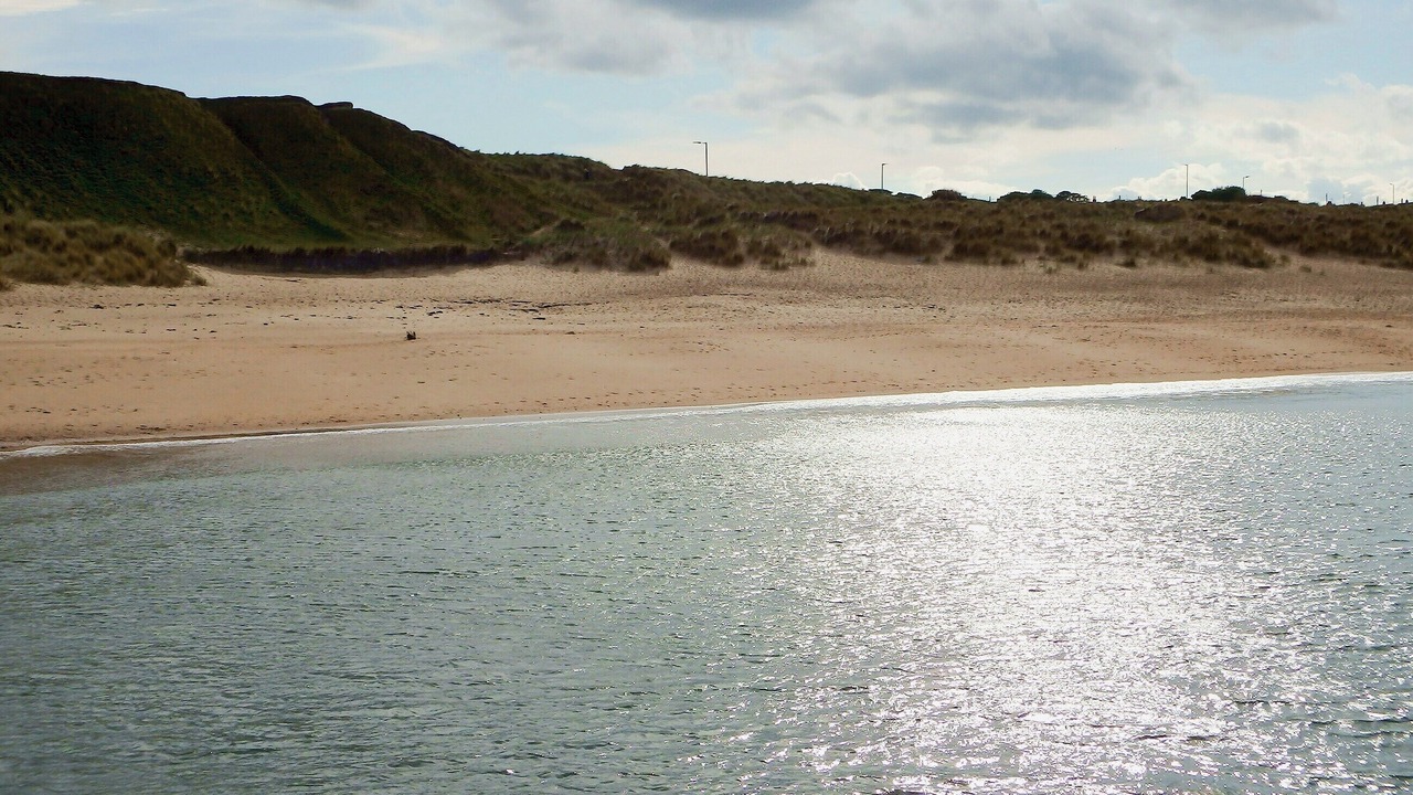 Photo of Others in Whitley Bay