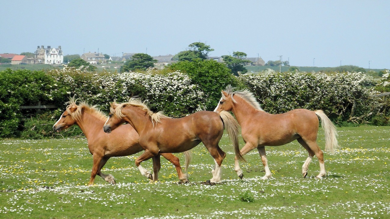 Photo of Others in Whitley Bay