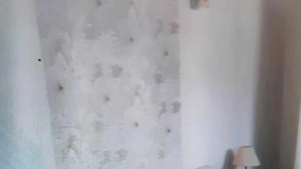 Photo of Bedroom in Le Soulie