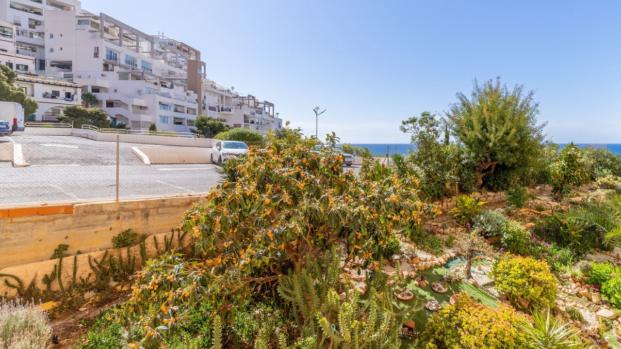 Photo of Outdoor in Benidorm