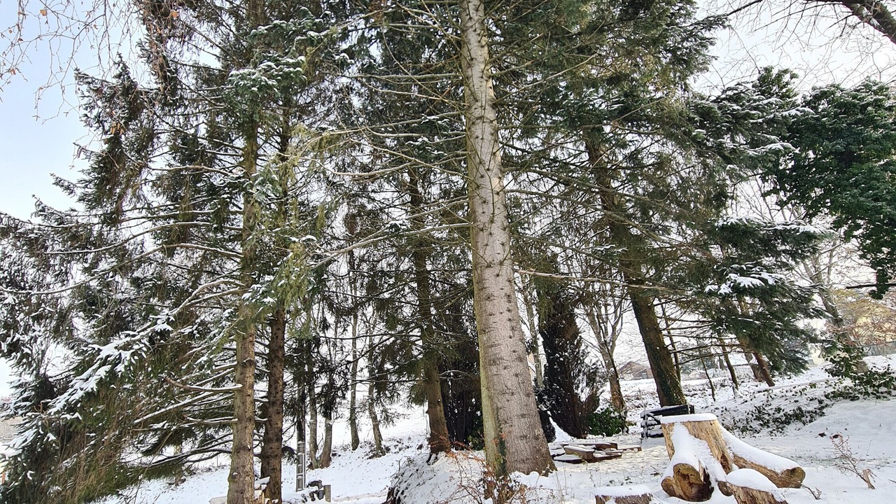 Photo of Others in Abreschviller