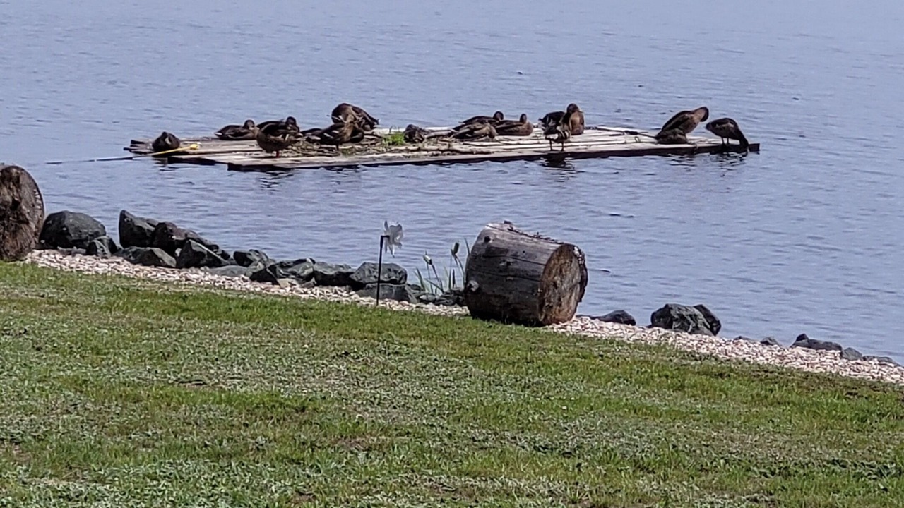 Photo of Outdoor in Acadian Peninsula