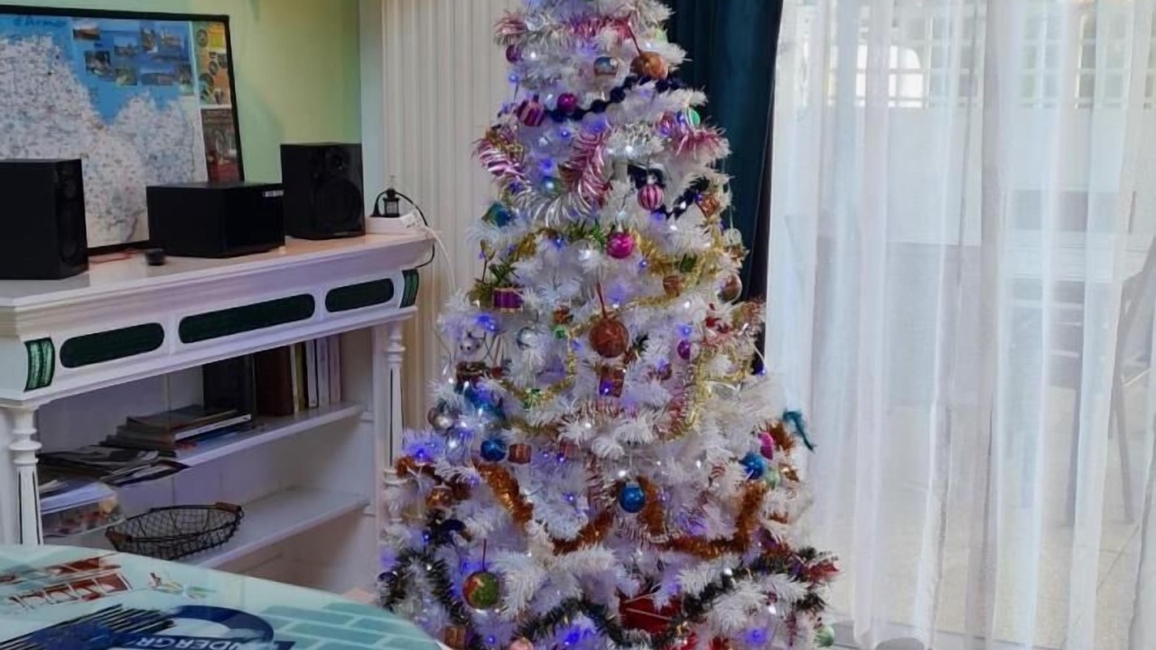 Photo of Others in Lantic