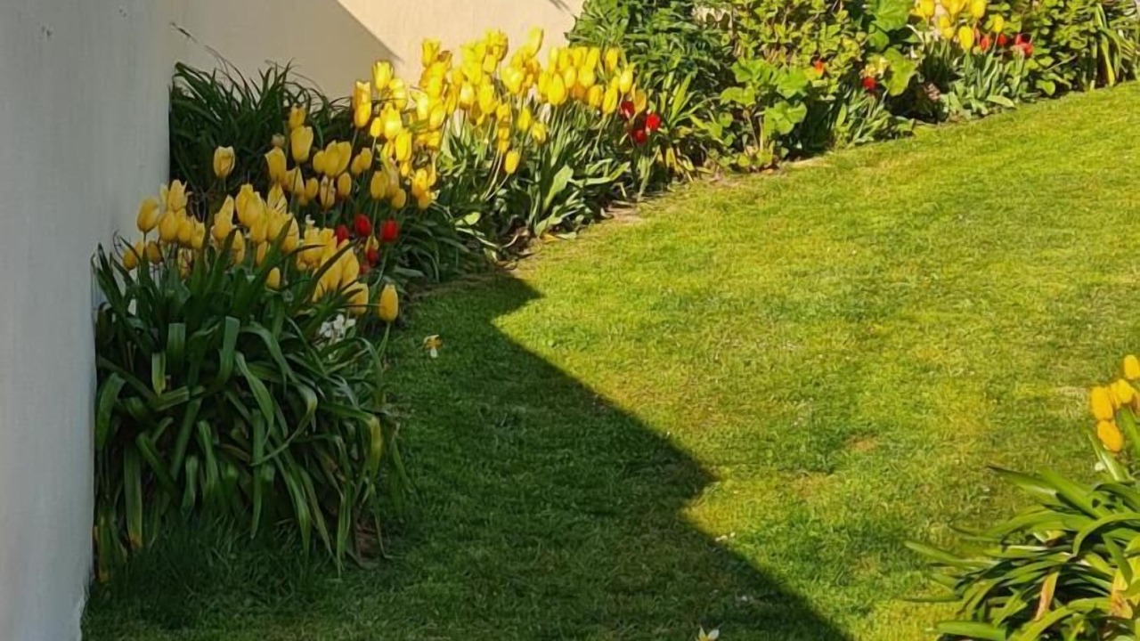Photo of Outdoor in Lantic
