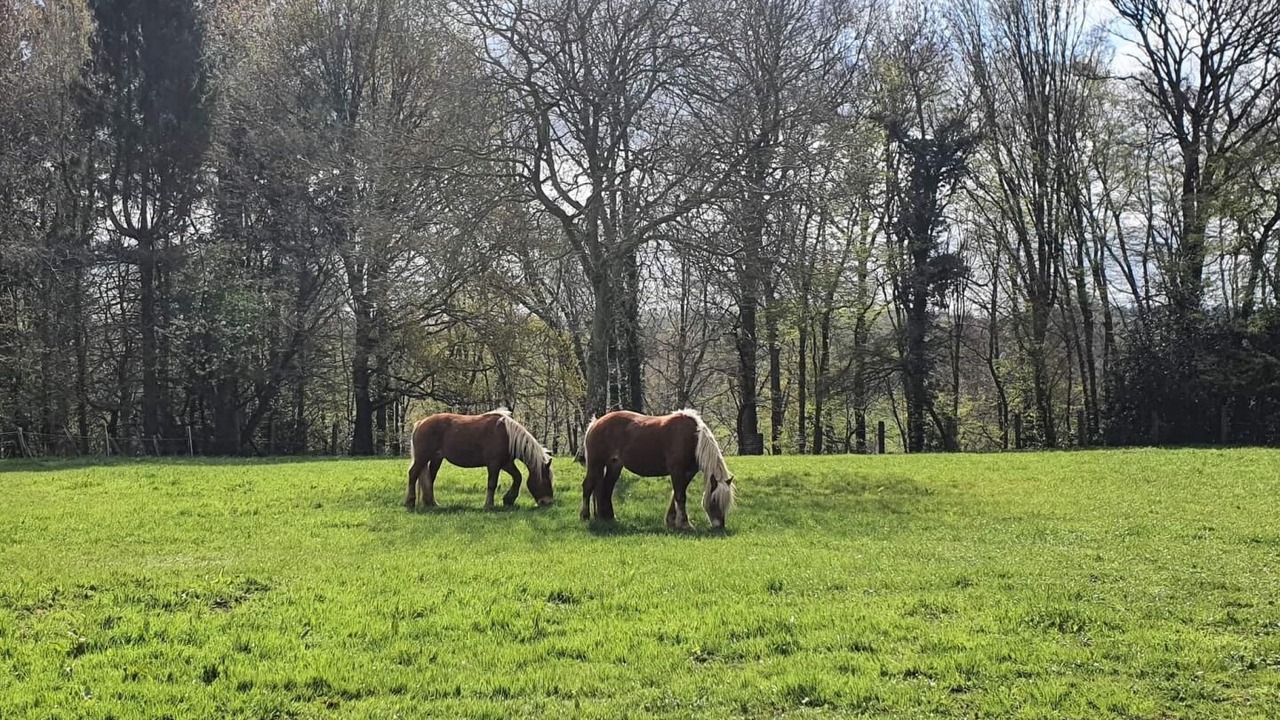 Photo of Others in Longroy