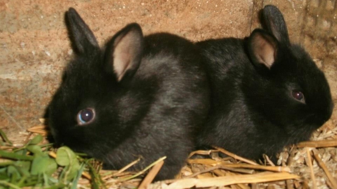 Photo of Others in Saint-Maclou-de-Folleville