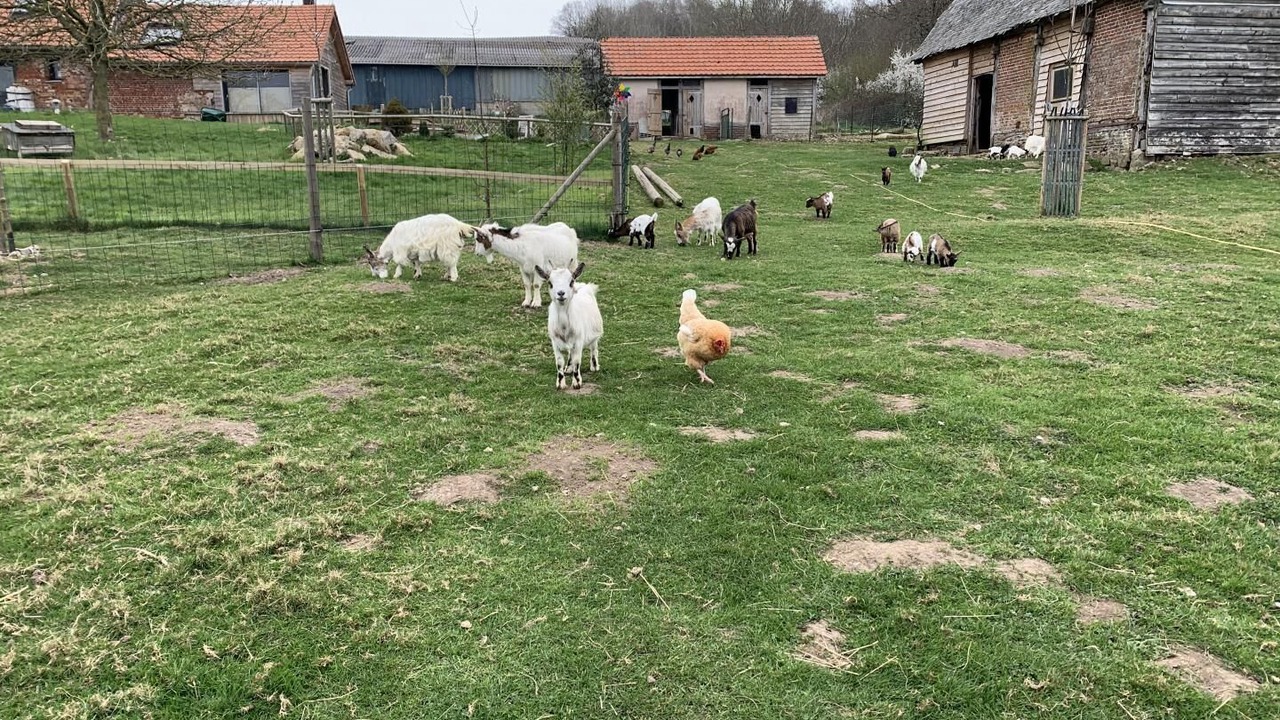 Photo of Outdoor in Saint-Maclou-de-Folleville