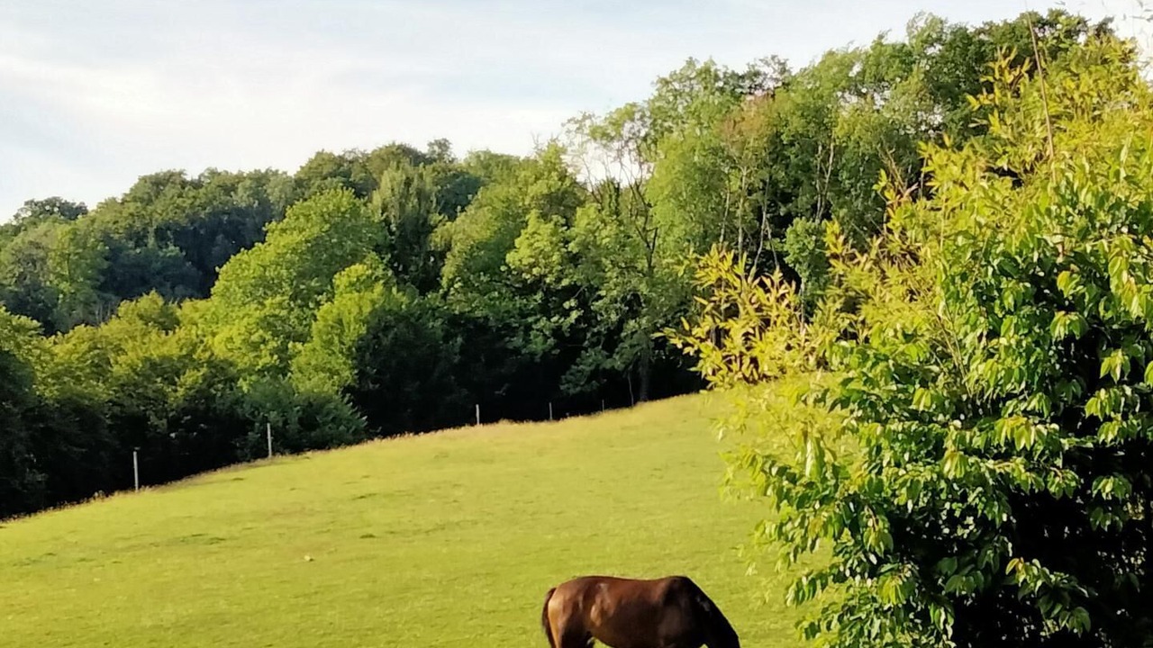 Photo of Outdoor in Saint-Maclou-de-Folleville