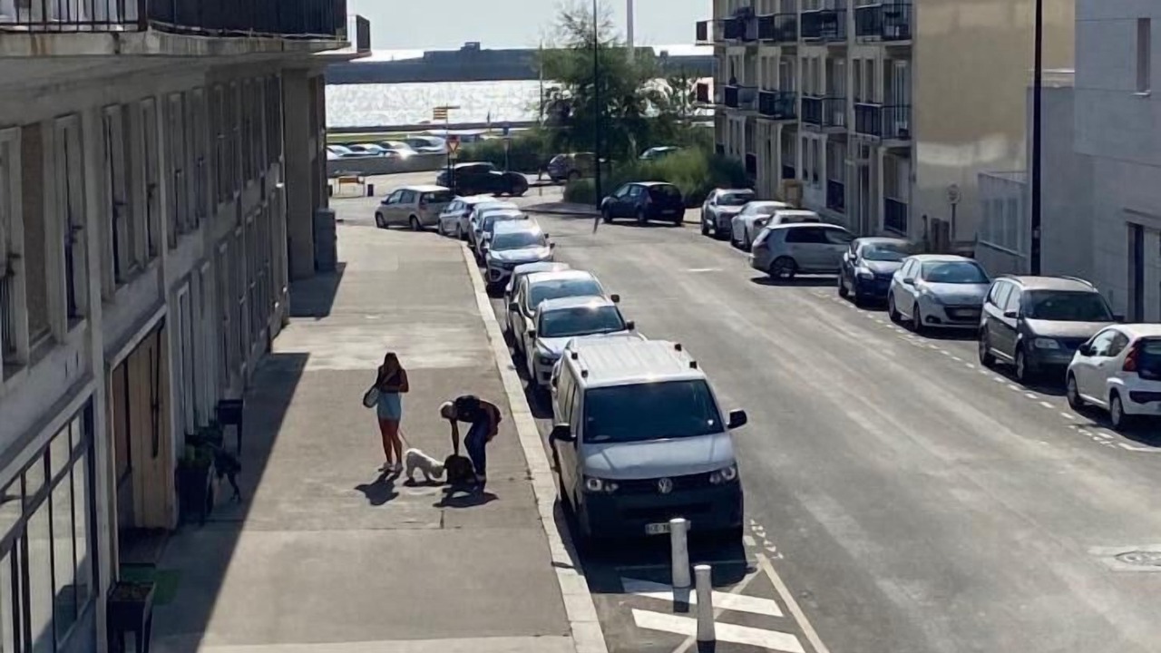 Photo of Others in Downtown Le Havre