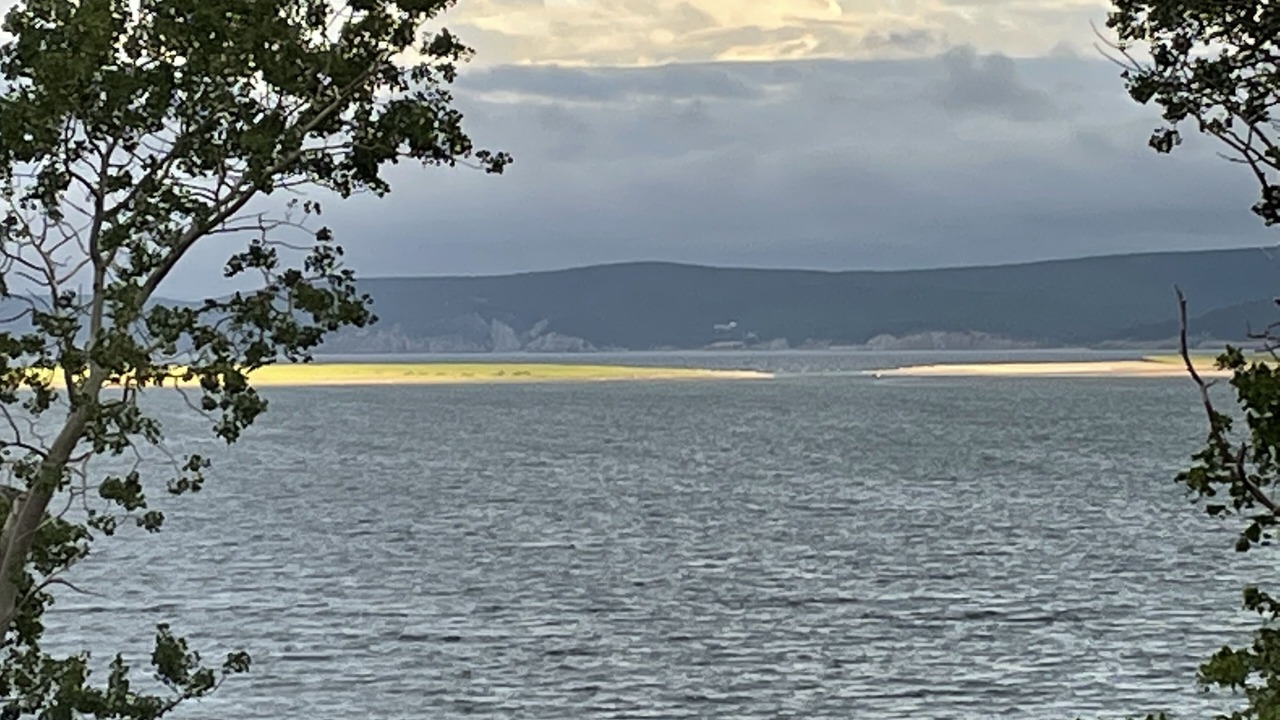 Photo of Others in Aspy Bay