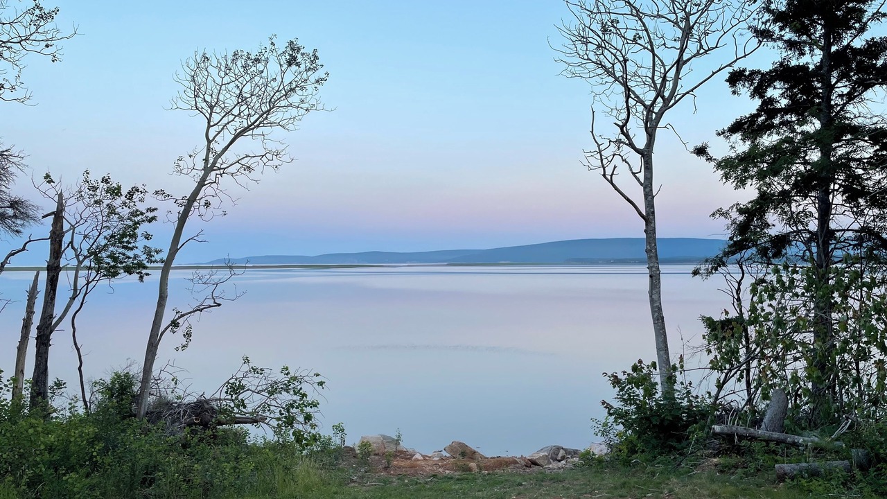 Photo of Others in Aspy Bay