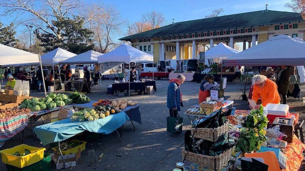 Photo of Others in Tower Grove East