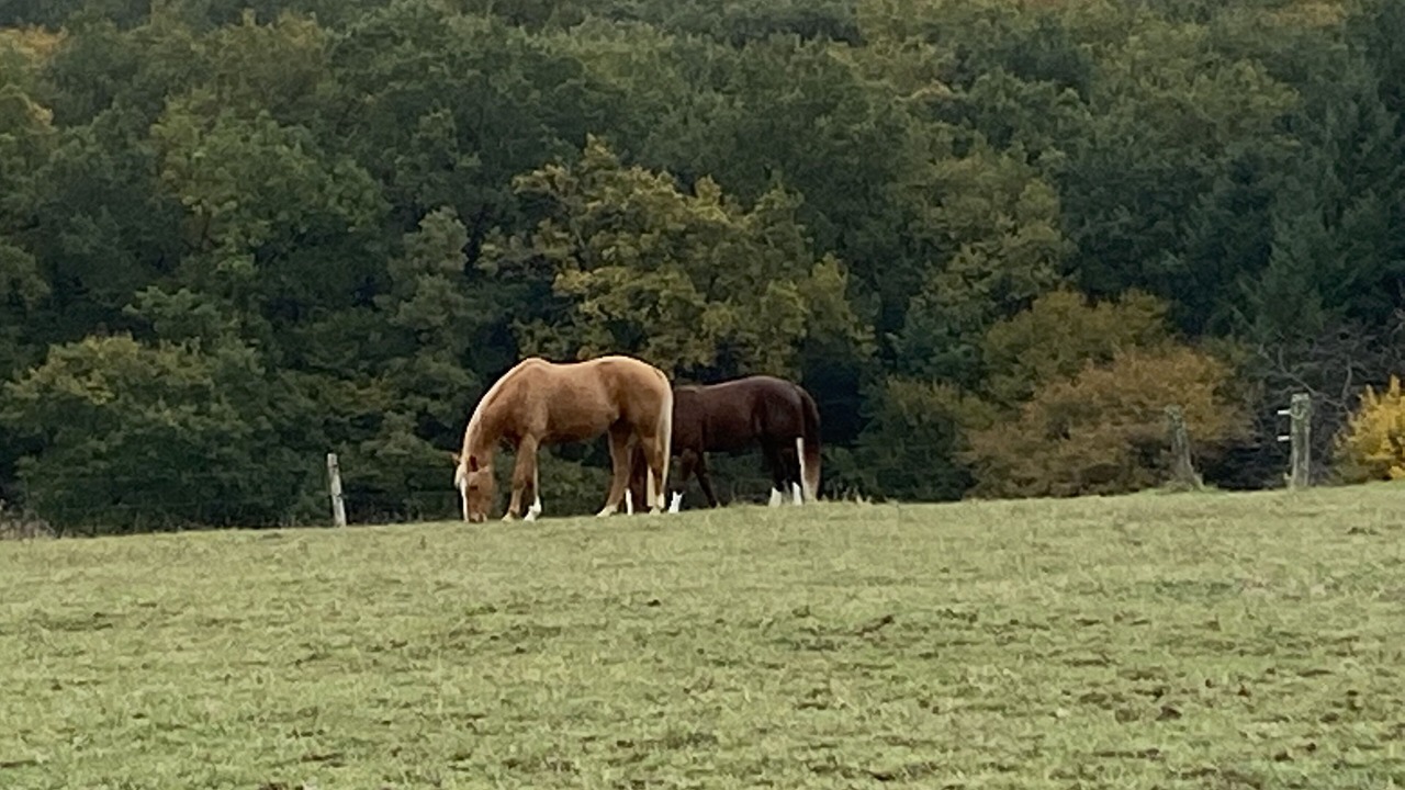 Photo of Outdoor in Flamarens
