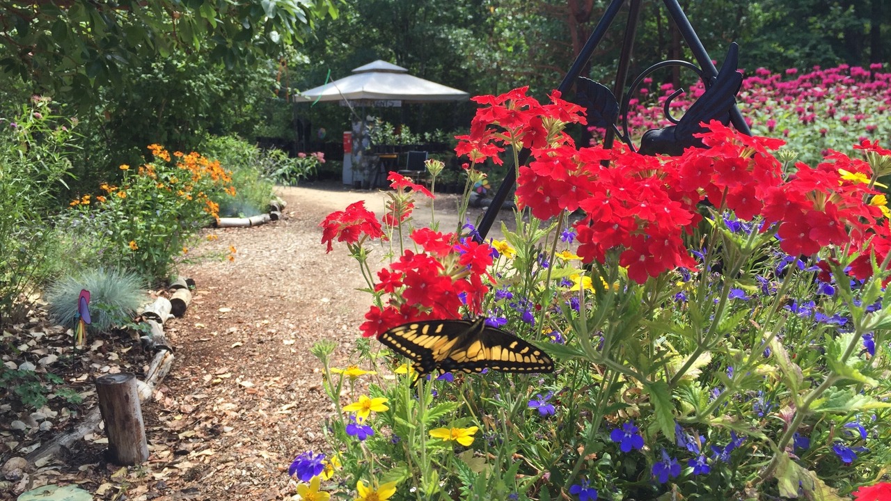 Photo of Outdoor in Cave Junction