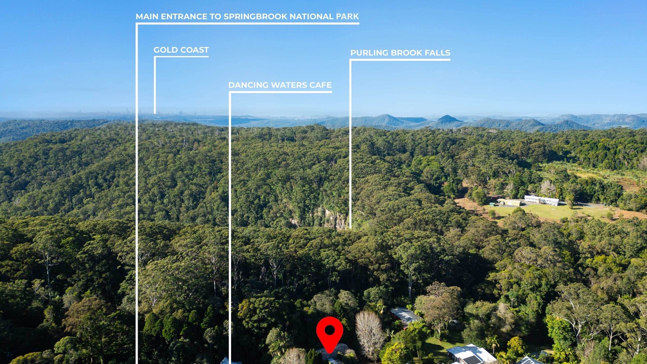 Photo of Others in Springbrook