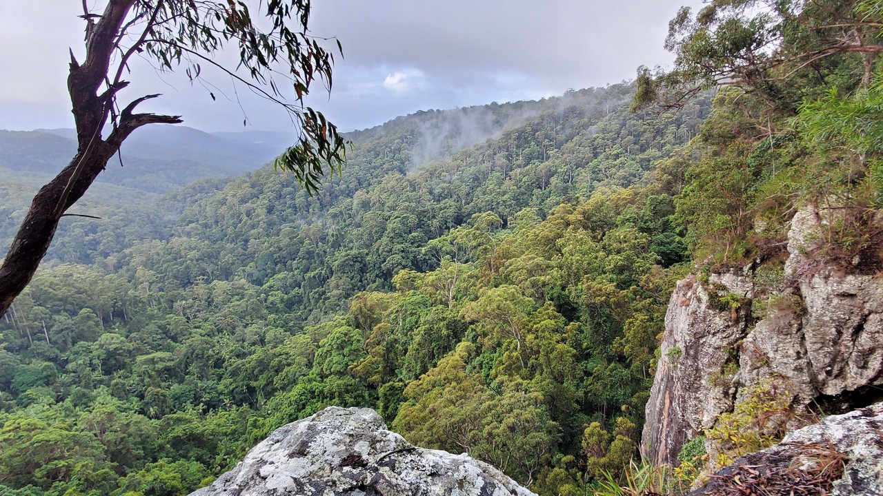 Photo of Others in Springbrook