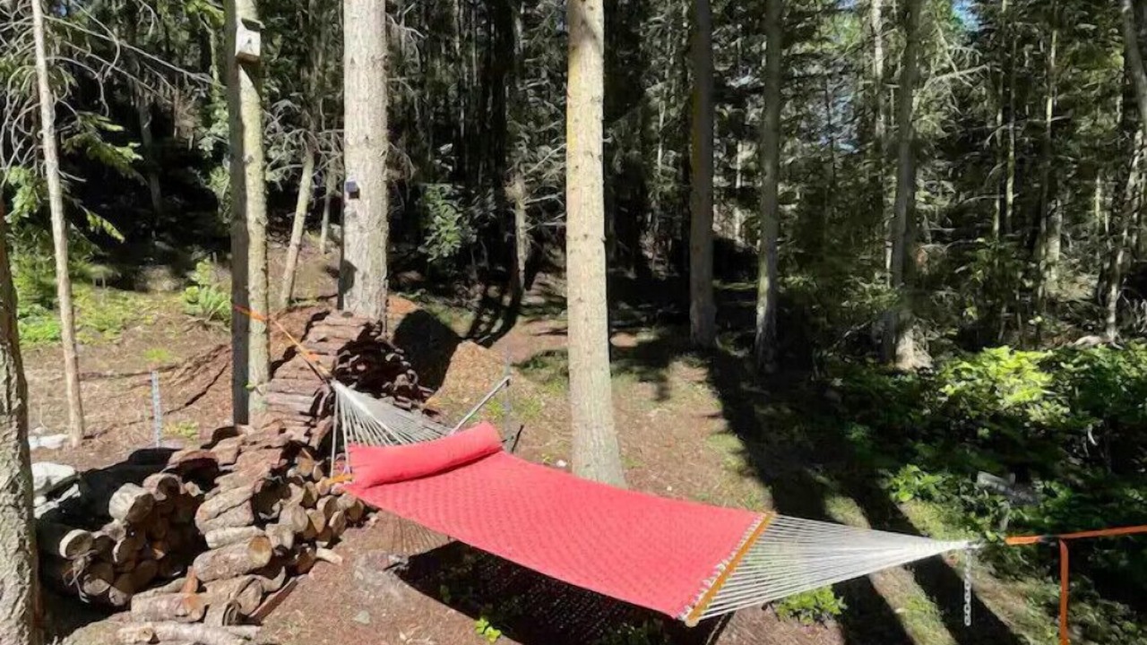 Photo of Outdoor in Coupeville