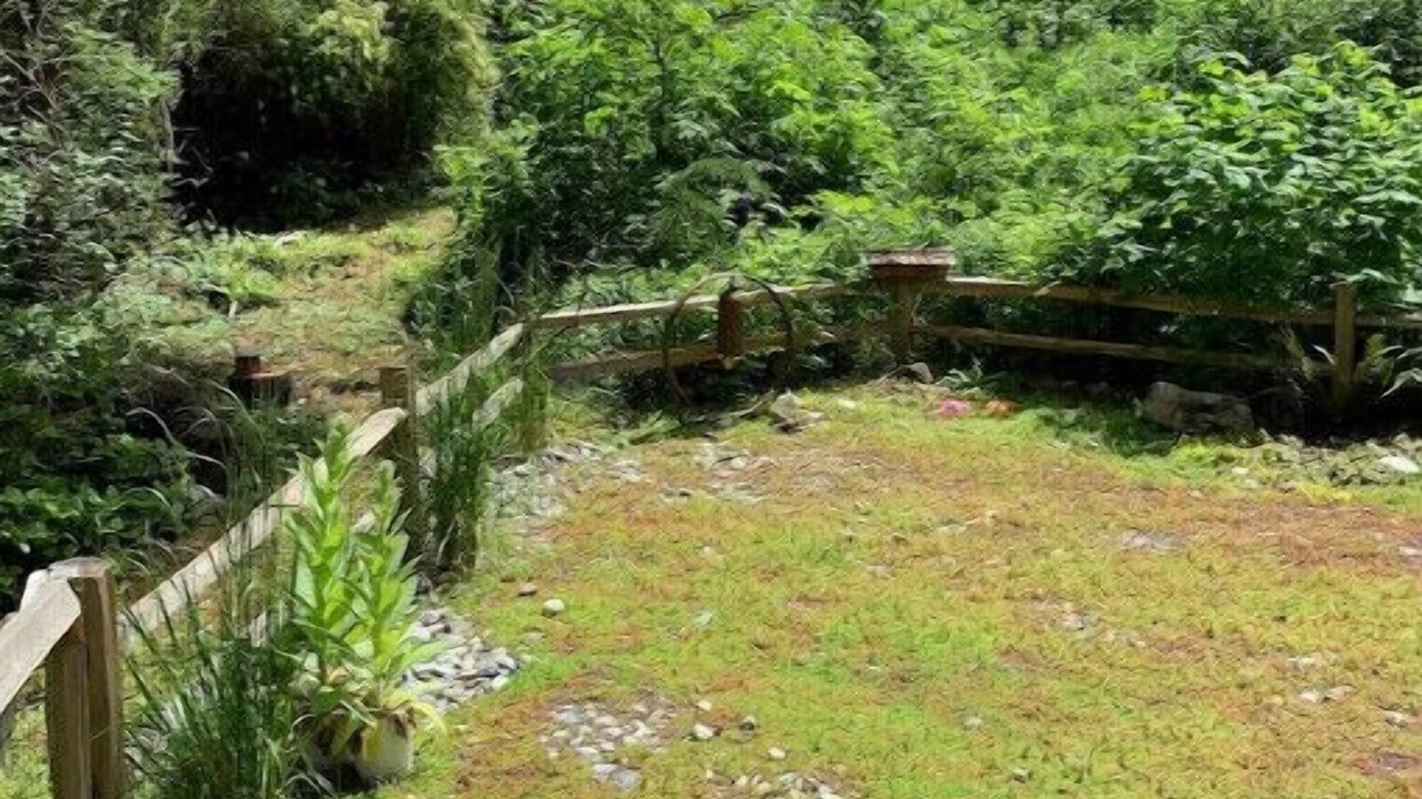 Photo of Outdoor in Coupeville