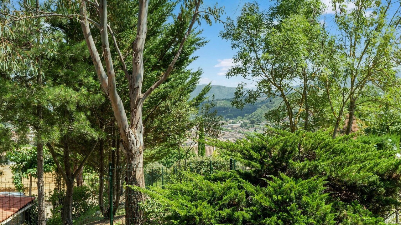 Photo of Others in Limoux