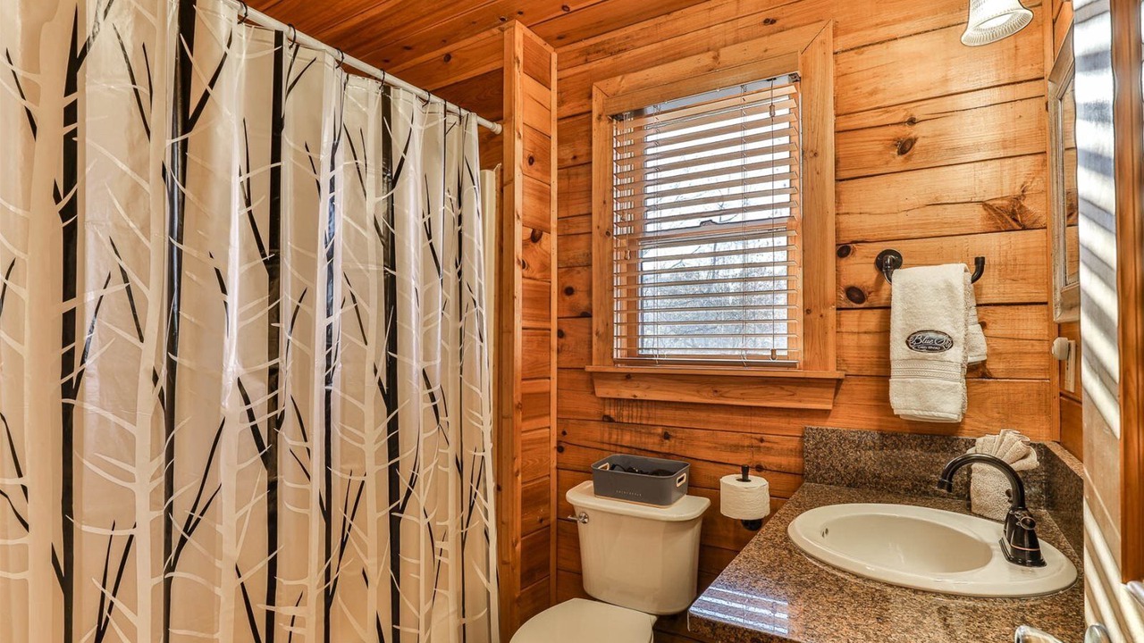 Photo of Bathroom in Ellijay