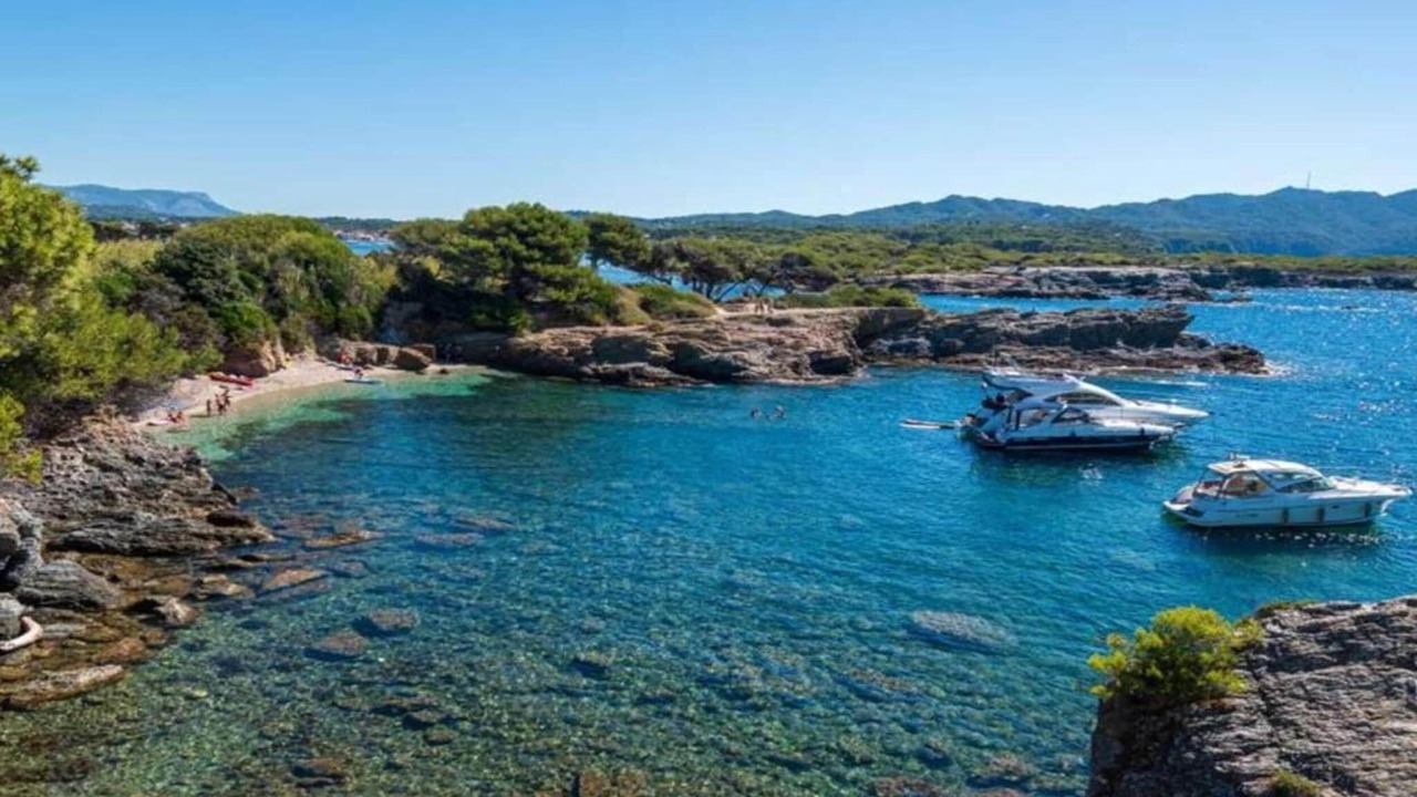 Photo of Others in Le Brusc