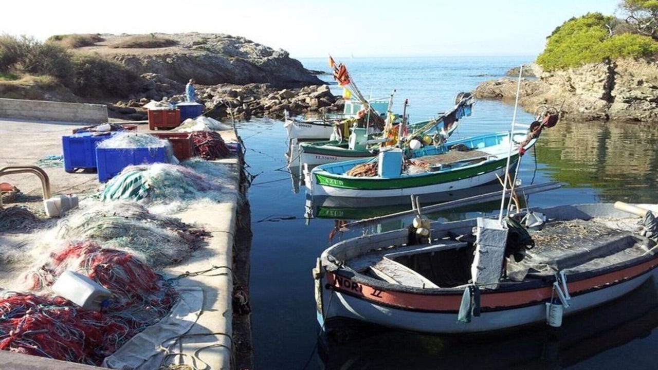 Photo of Others in Le Brusc