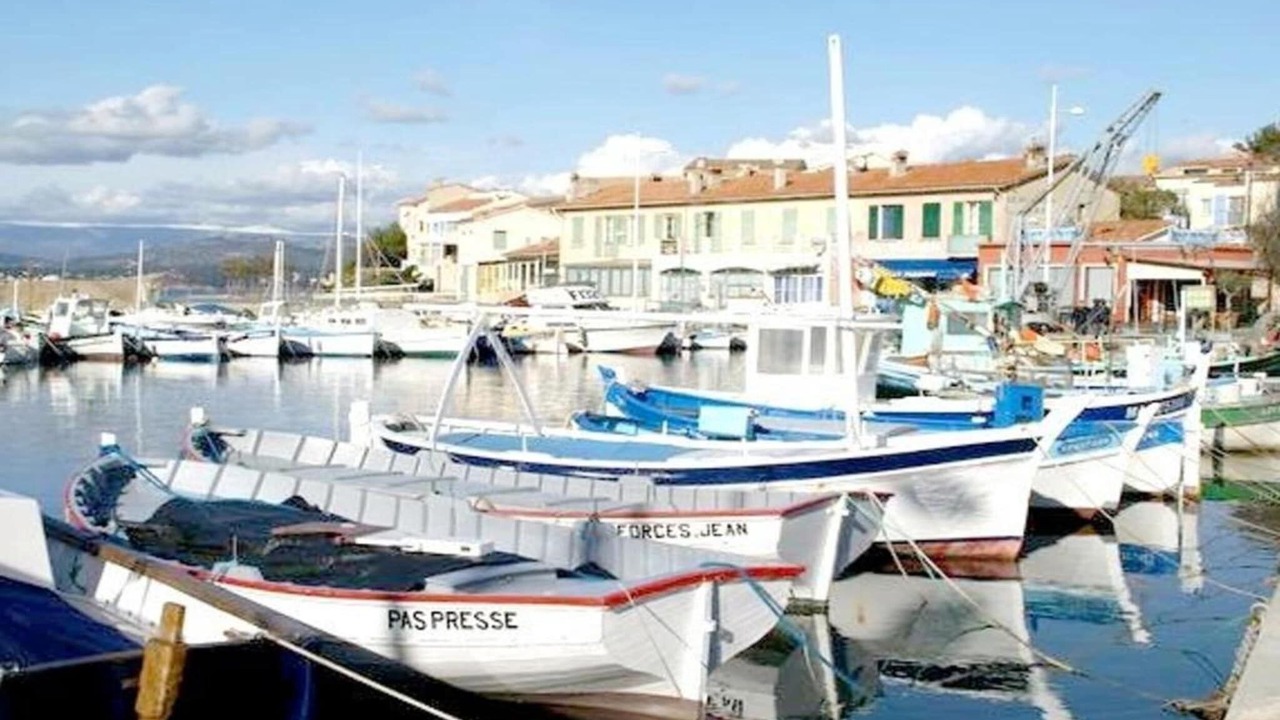 Photo of Others in Le Brusc