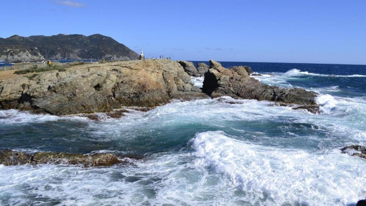 Photo of Others in Le Brusc