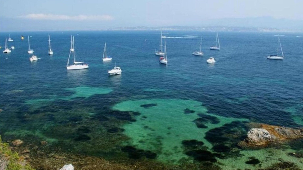 Photo of Others in Le Brusc