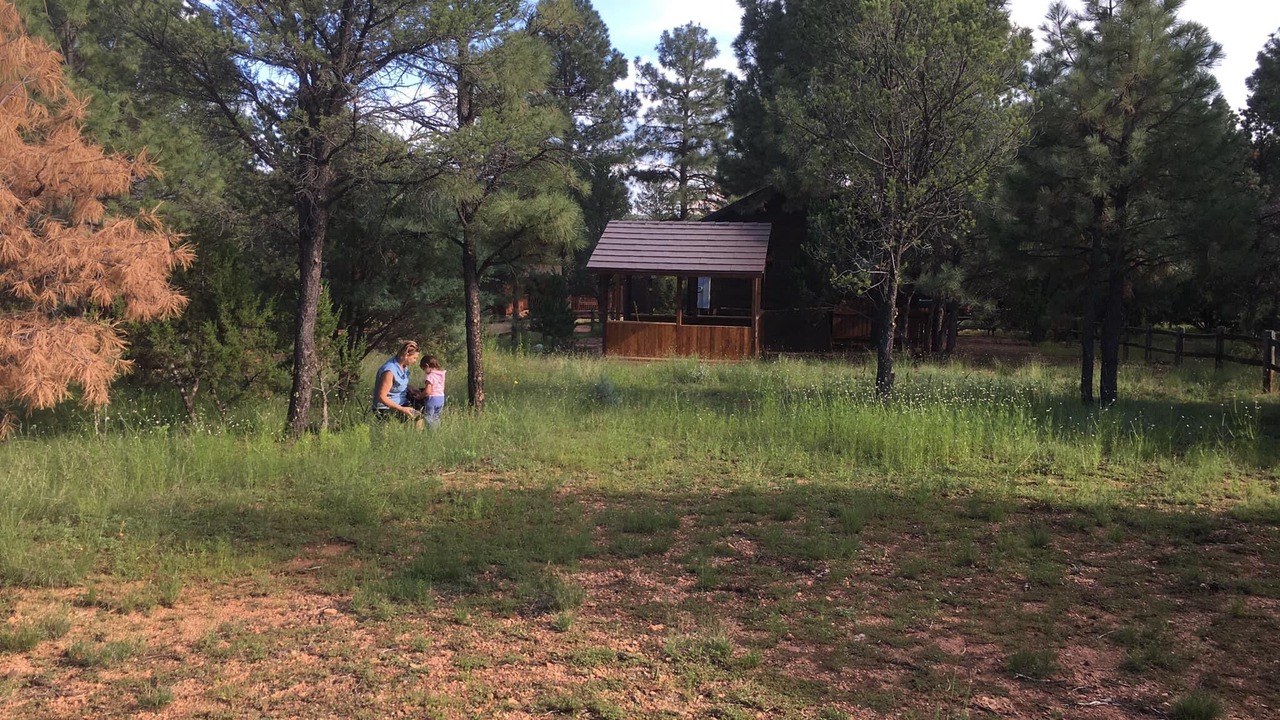 Photo of Outdoor in Overgaard
