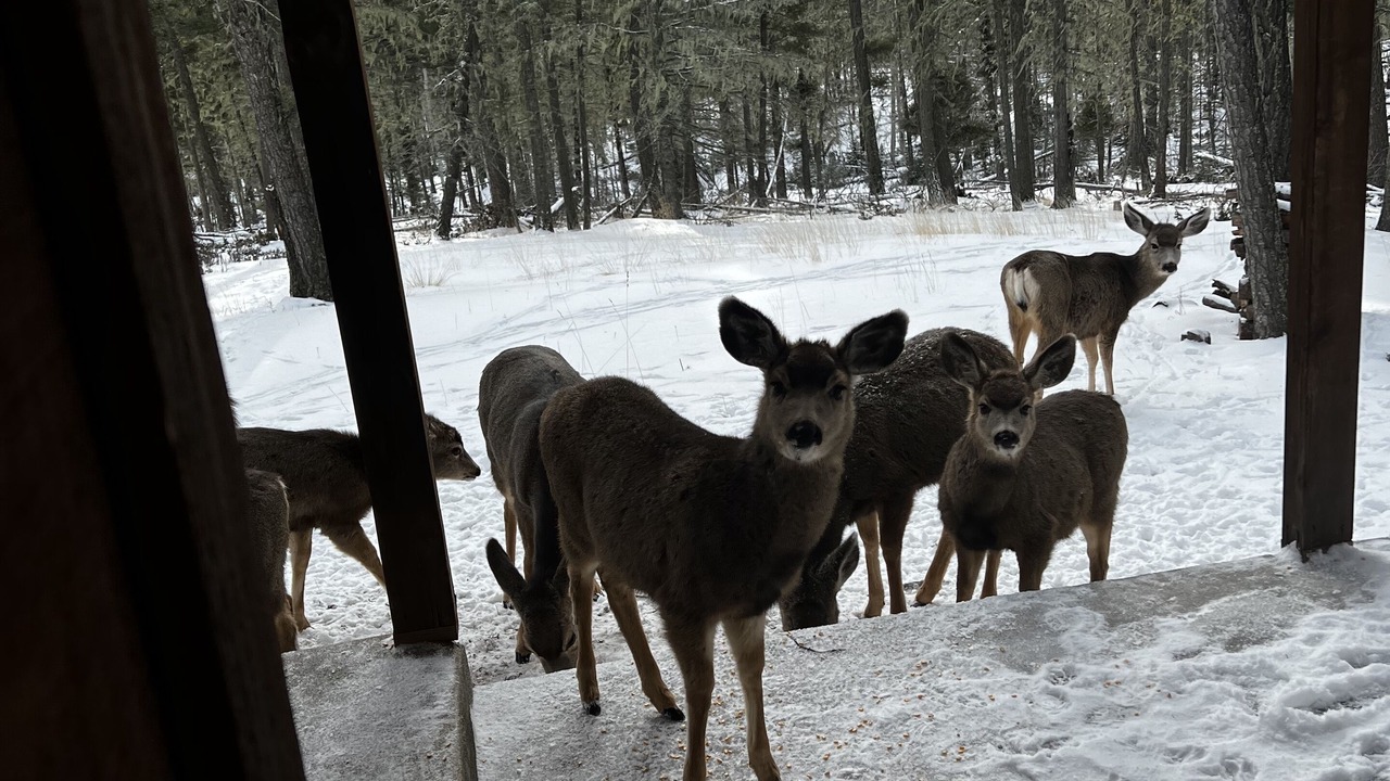 Photo of Others in Angel Fire