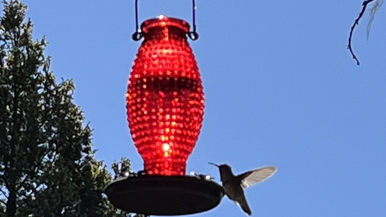 Photo of Outdoor in Angel Fire