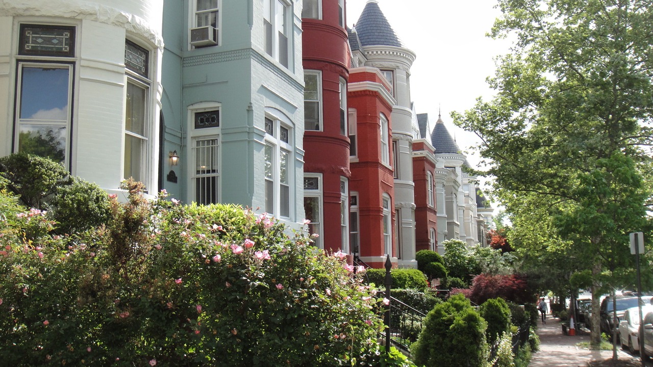 Photo of Others in Georgetown