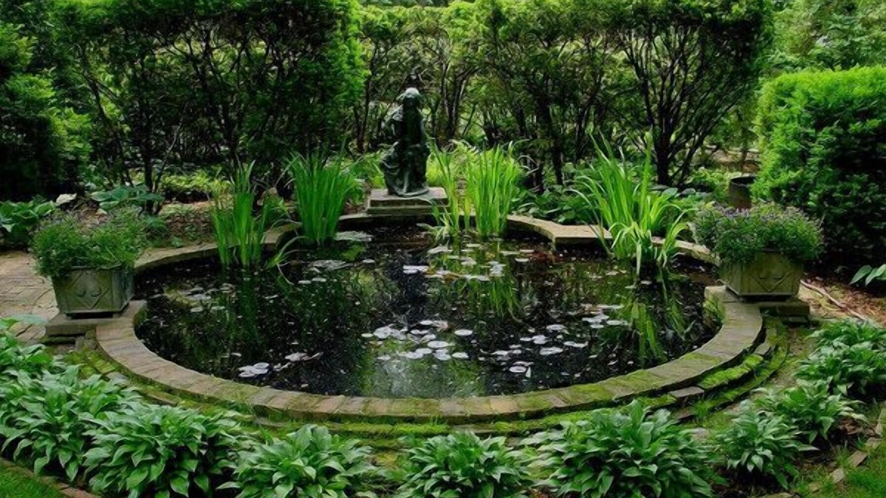 Photo of Others in Georgetown