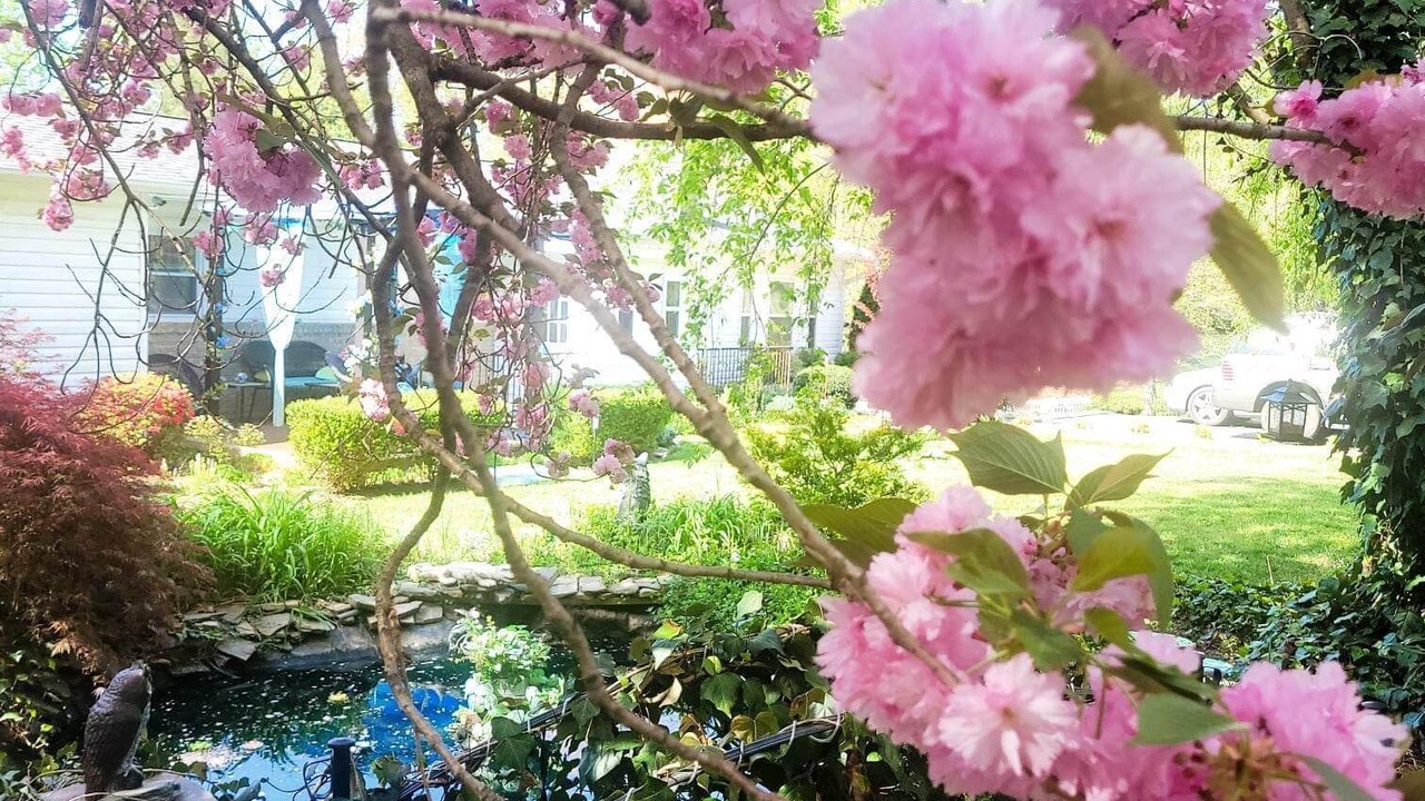 Photo of Outdoor in Mount Airy