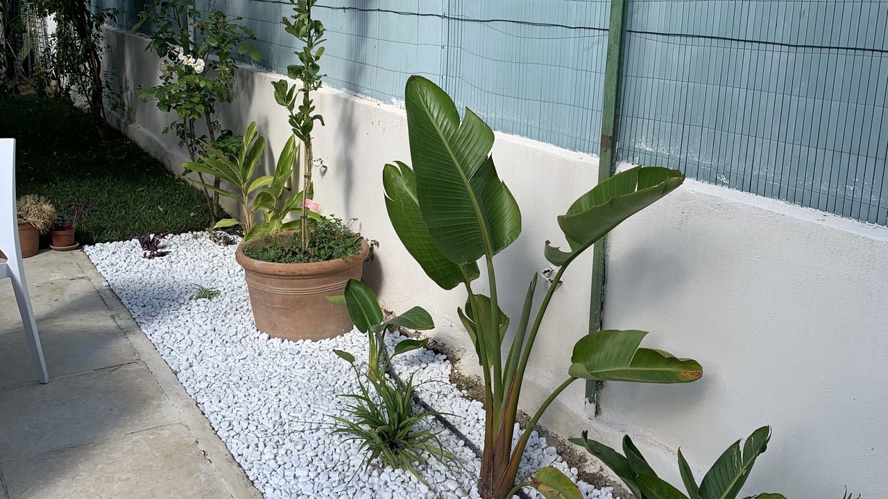 Photo of Outdoor in Saint-Martin