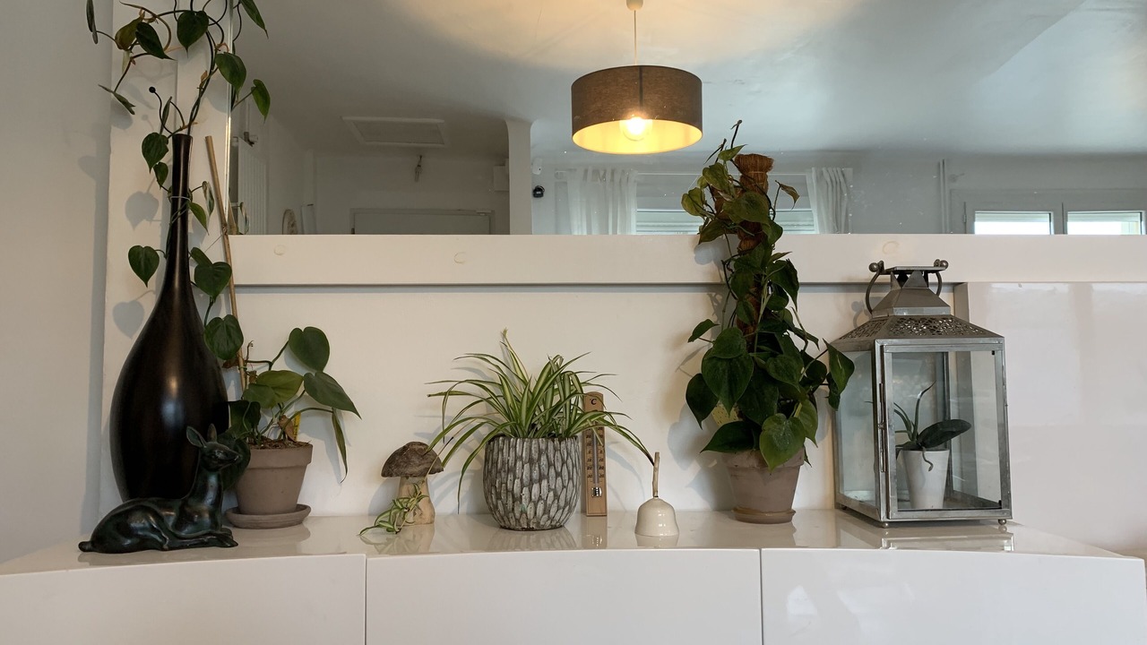 Photo of Others in Saint-Martin