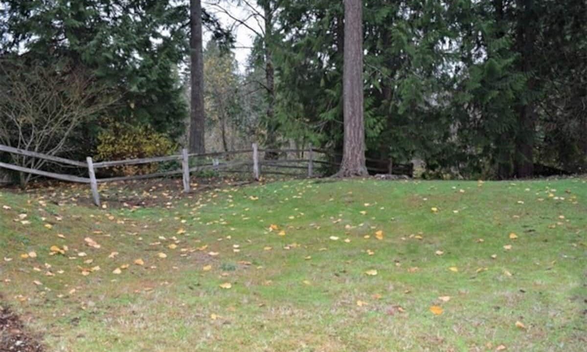 Photo of Outdoor in Sammamish