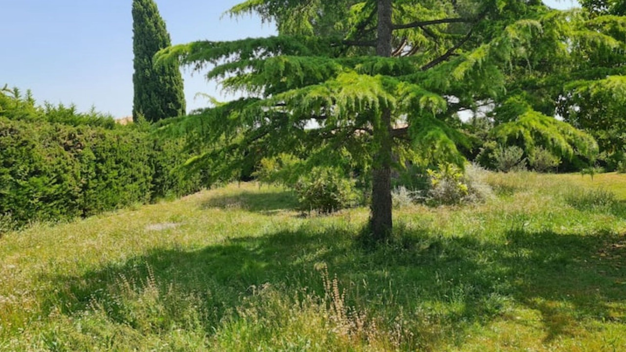 Photo of Outdoor in Saint-Drezery