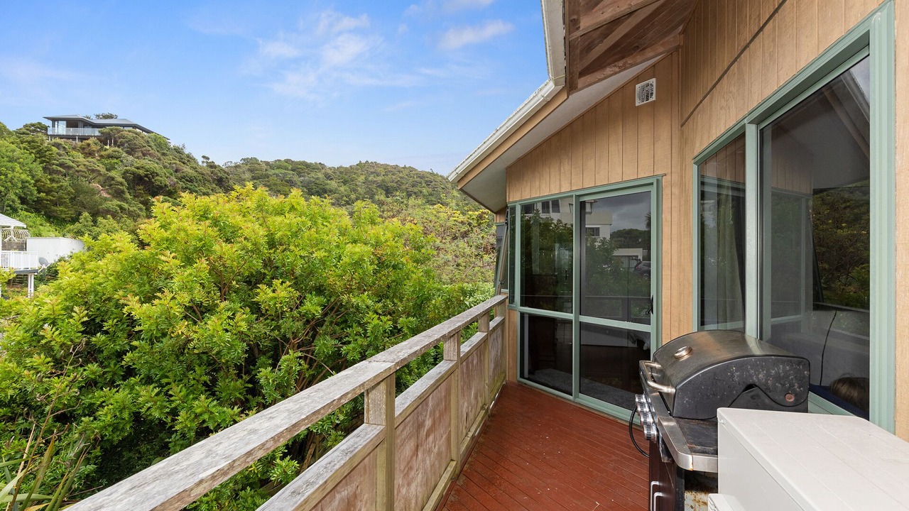 Photo of Outdoor in Tutukaka