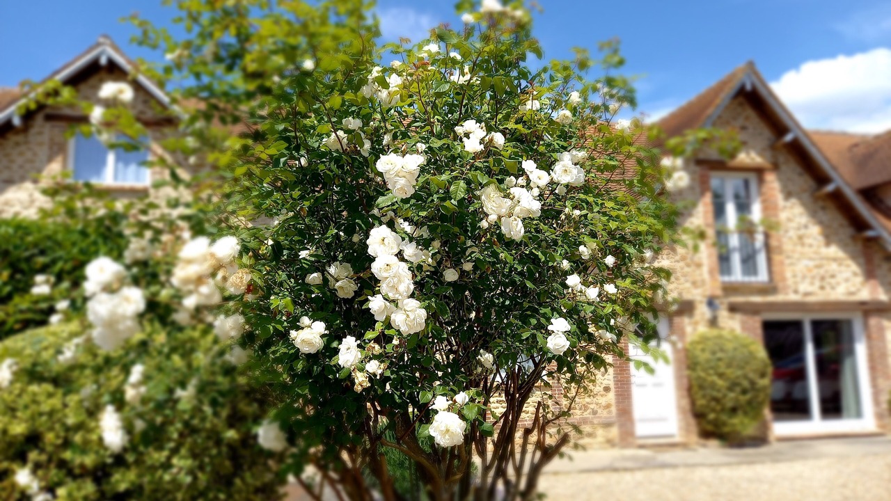 Photo of Outdoor in Le Vieil-Evreux