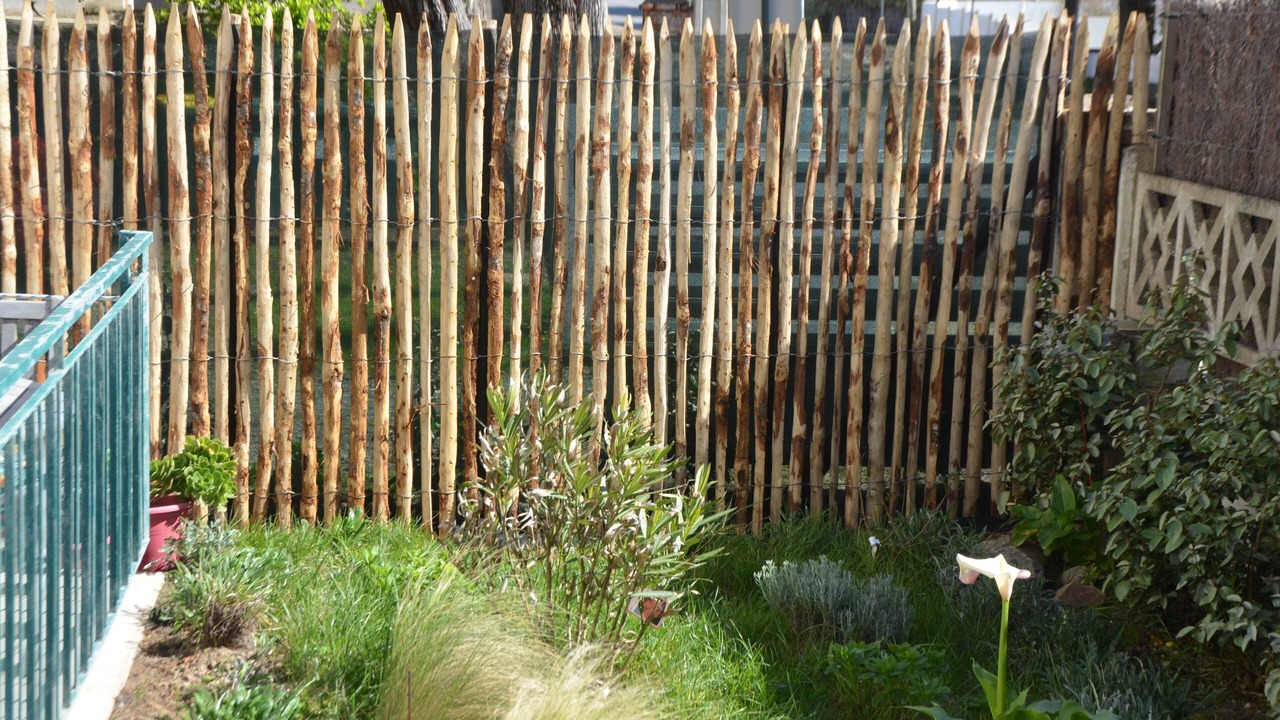Photo of Outdoor in Batz-sur-Mer