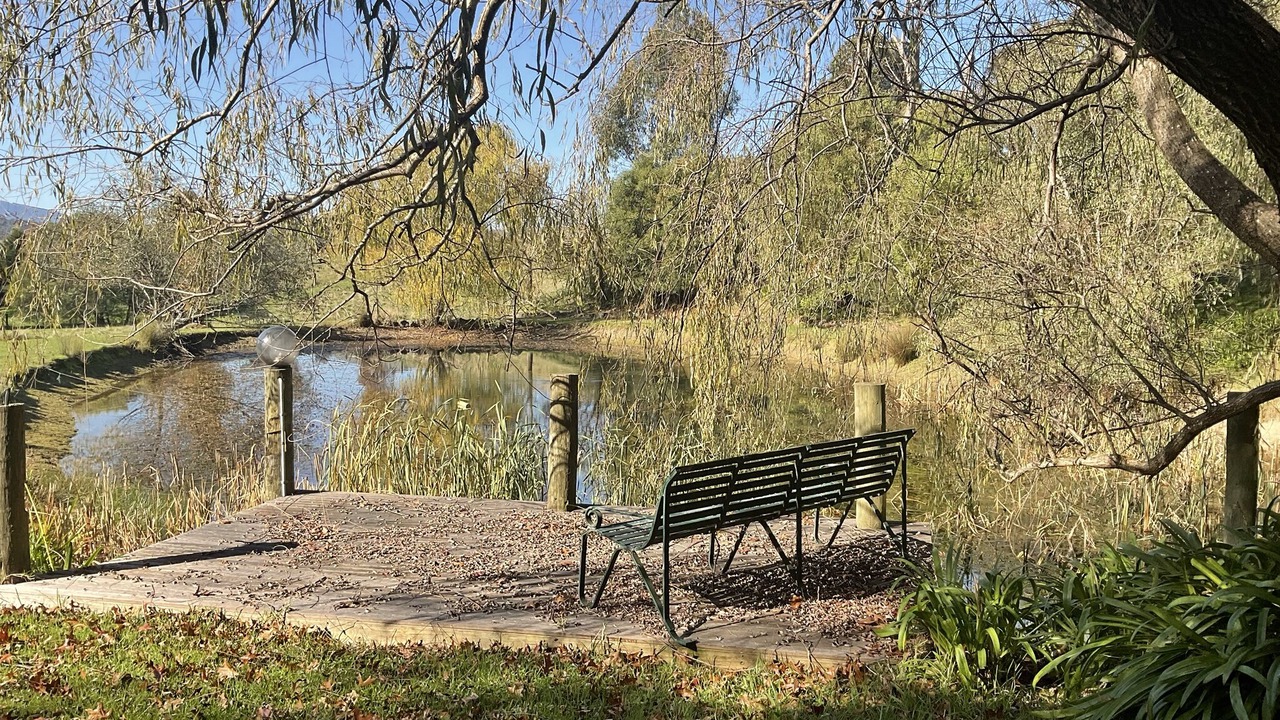 Photo of Outdoor in Steels Creek