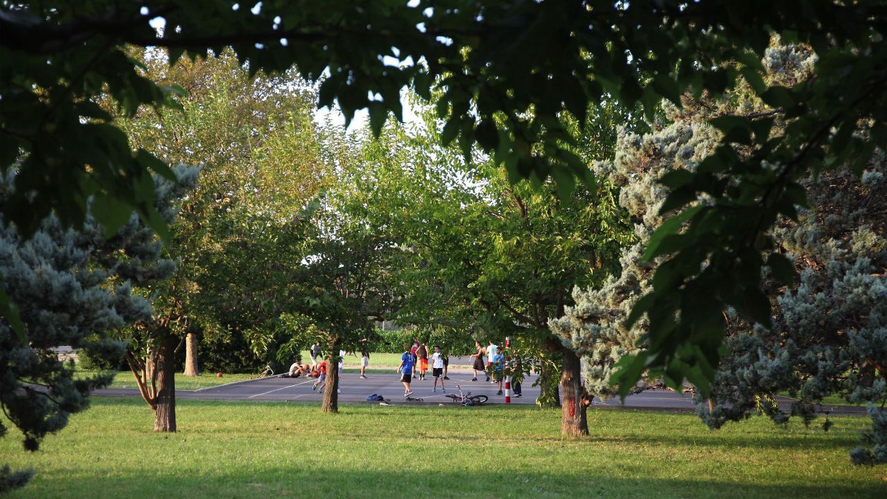 Photo of Others in Estanove