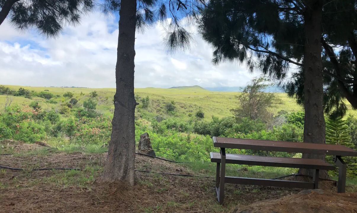 Photo of Outdoor in Kamuela