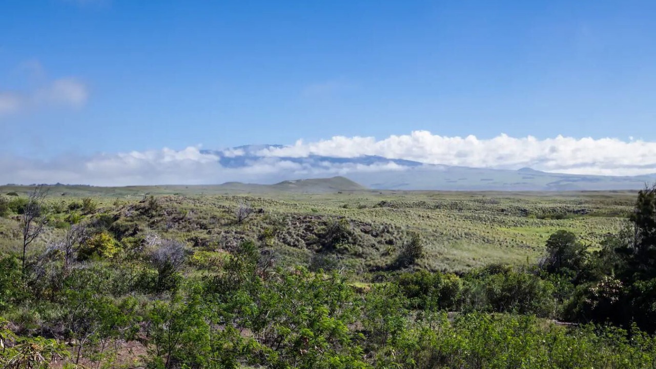 Photo of Others in Kamuela